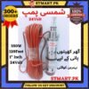 Solar DC Water Pump Motor 12Volt 24Volt Shamsi Rutan Copper Submersible Price In Pakistan Stmart Home House Irrigation Karachi Lahore Islamabad Peshawar Multan Faisalabad Rawalpindi Gujranwala Gujrat Swat Gawdar Sukkar Mardan