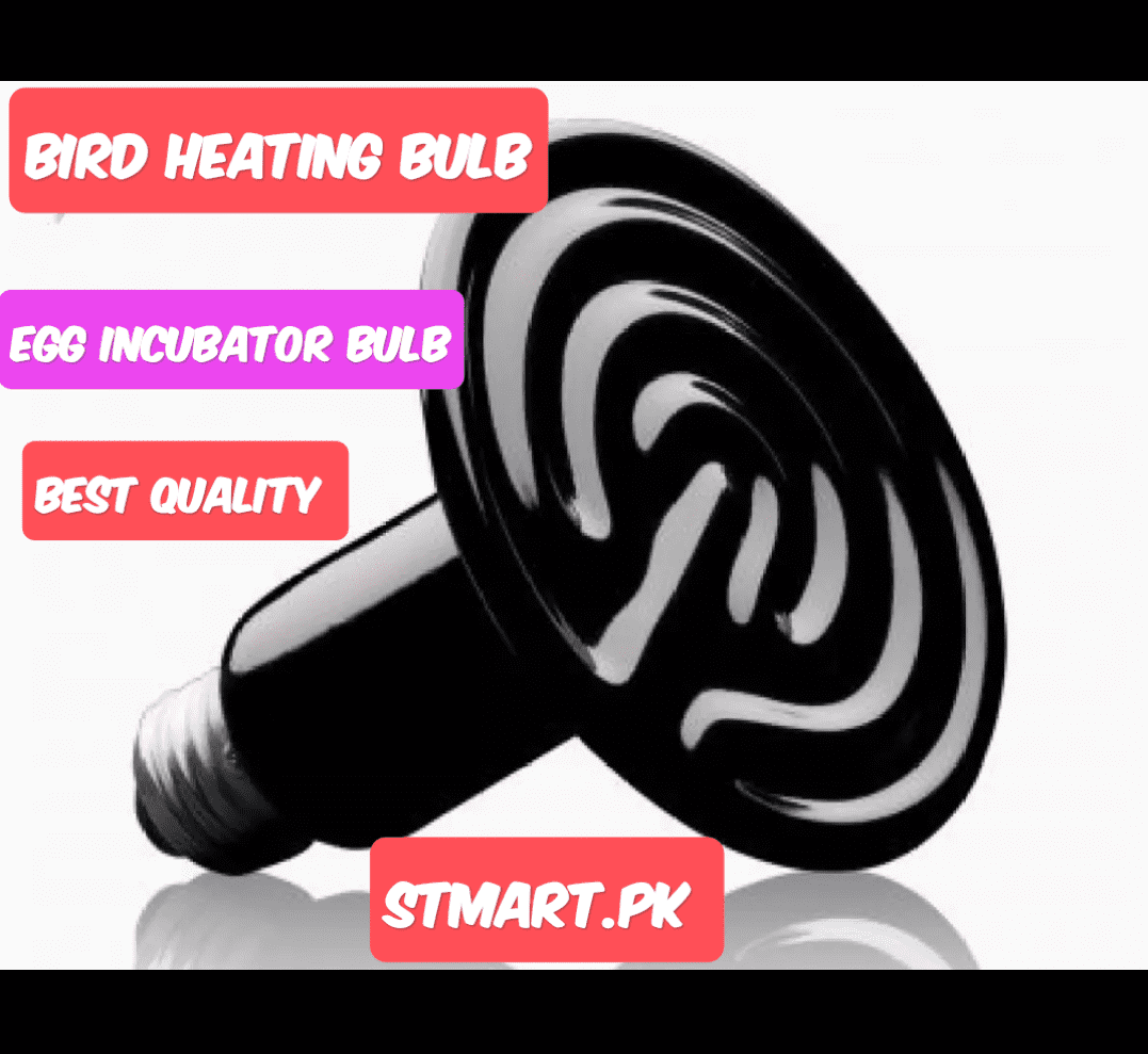 Bulb For egg Incubator Heating Birds price in pakistan Stmar Bulb For egg Incubator Heating Birds price in pakistan Stmar